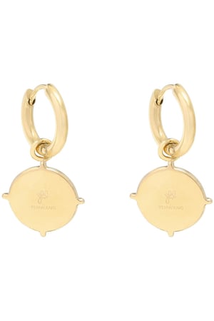 Earrings Lead the Way Plata Acero inoxidable h5 Imagen3